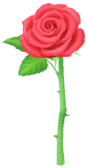 Megafiore Rosa.png