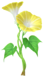 Megafiore Bella di giorno.png