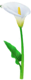 Megafiore Calla.png