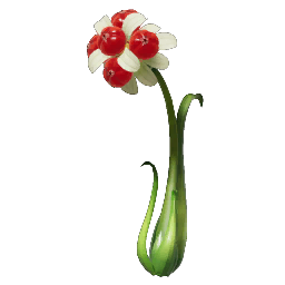 Fiore da bacca p4.png