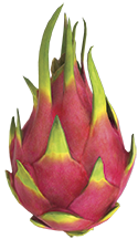 Delicatezza spinosa p3.png