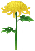 Megafiore Crisantemo.png