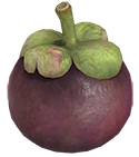 Nobilfrutto p3.png