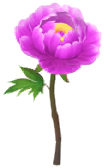 Megafiore Peonia.png