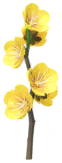 Megafore Fiori di Prugno.png