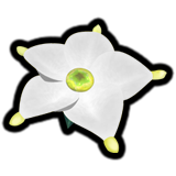Cromanvillea candida.png