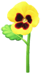 Megafiore Pansé.png