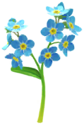 File:Megafiore Nontiscordardimé.png
