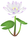 Megafiore Ninfea.png