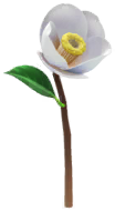 Megafiore Camellia.png