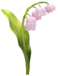 Megafiore Mughetto.png