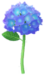 Megafore Ortensia.png