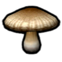 Fungo calmante icona switch.png