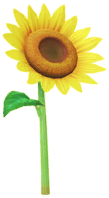 Megafiore Girasole.png
