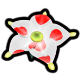 Cromanvillea regina icona switch.png