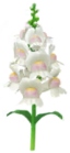 Bocca di leone
