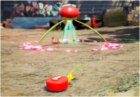 P4-DiarioBordo-Olimar6.png