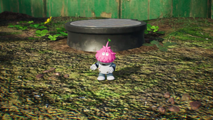 Pikmin4-Fogliolinorosa.png