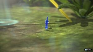 P3-Pikmin-blu-scoperta.jpg