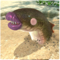 Bruciadeserti