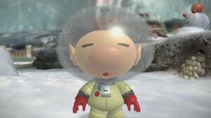 Olimar-Tundra-Gelo-P3.jpg