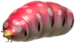 Ssbu spirito bulbica imperiale.png