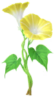 Bella di giorno