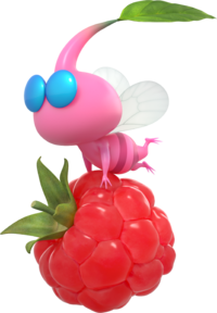 Pikmin alatoP4 con Graziosina.png