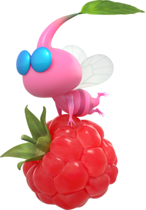 Pikmin alatoP4 con Graziosina.png