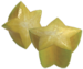Succostella p3.png