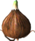 Bulbo pellegrino.png