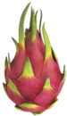 Delicatezza spinosa p3.png