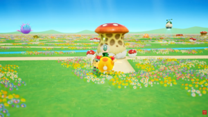 Mappa Pikmin Bloom Accademia Dandori.png