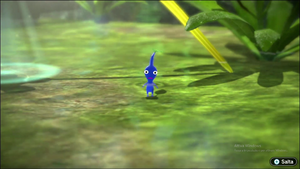 Scoperta-Pikmin-blu-P3.png