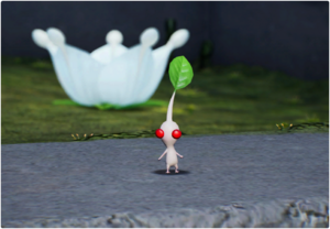 P4-DiarioBordo-Olimar22.png