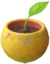 Piantina gialla.png