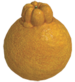 Bozzo truffaldino p3.png