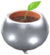 Piantina argentata.png