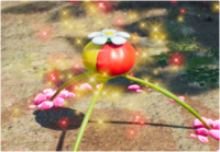 P4-DiarioBordo-Olimar25.png