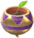 Piantina dorata (viola).png