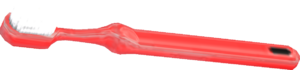 Fossile di insetto peloso.png