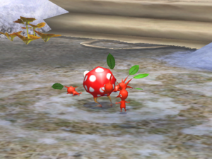 Pikmin2 RossiColetoNano.png