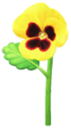Pansé