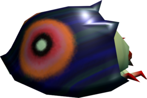 Dorifora celata.png