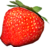 Bacca succulenta.png