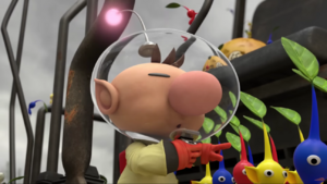 I-rischi-del-mestiere-capo-Olimar.png