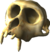Fossile colossale.png