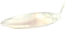 Dio rotto del cibo.png