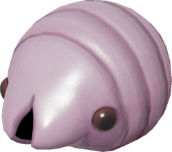 Tarlo molare madre.png