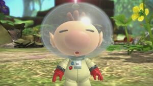 Olimar-Serra-Speranza-Intro.jpg